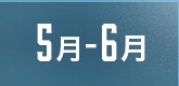 5月-6月